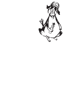 Fat Dog Bicycle Fit logo